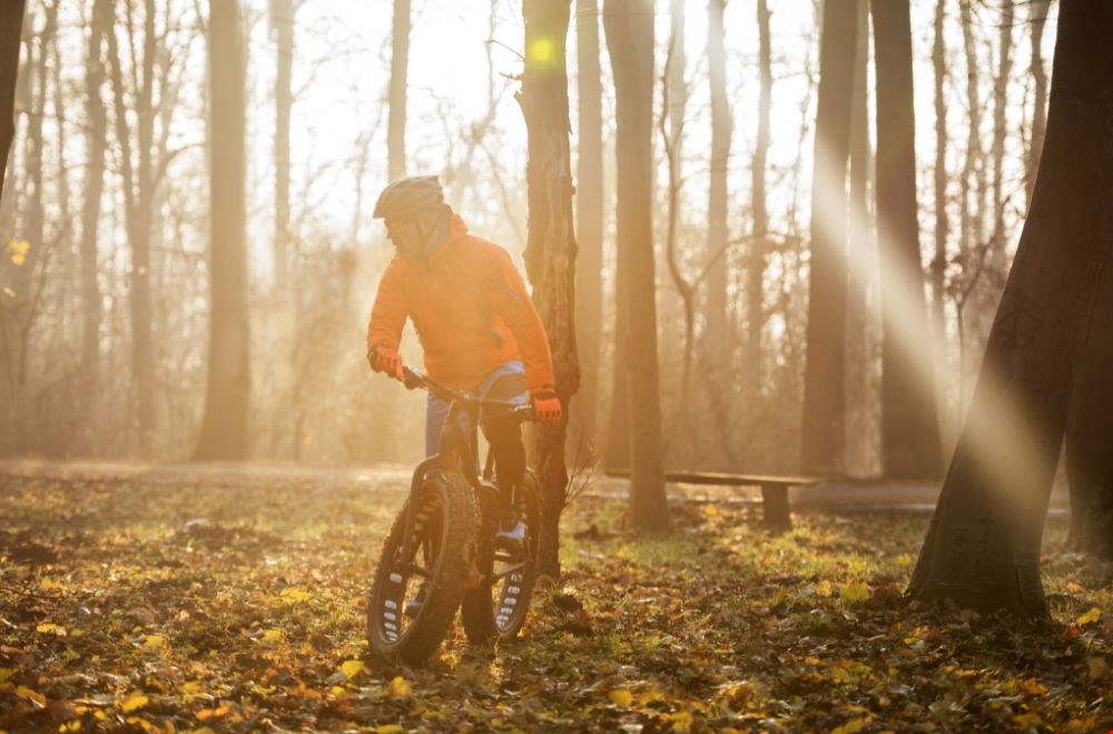 Elektrische fiets – trend of here to stay? Elektrische fiets – trend of here to stay?